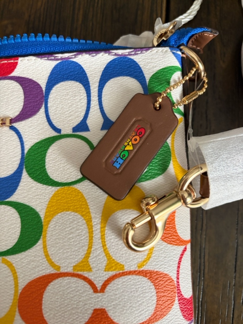 Coach Jes Rainbow 🌈 Collecton - Picture 8 of 15